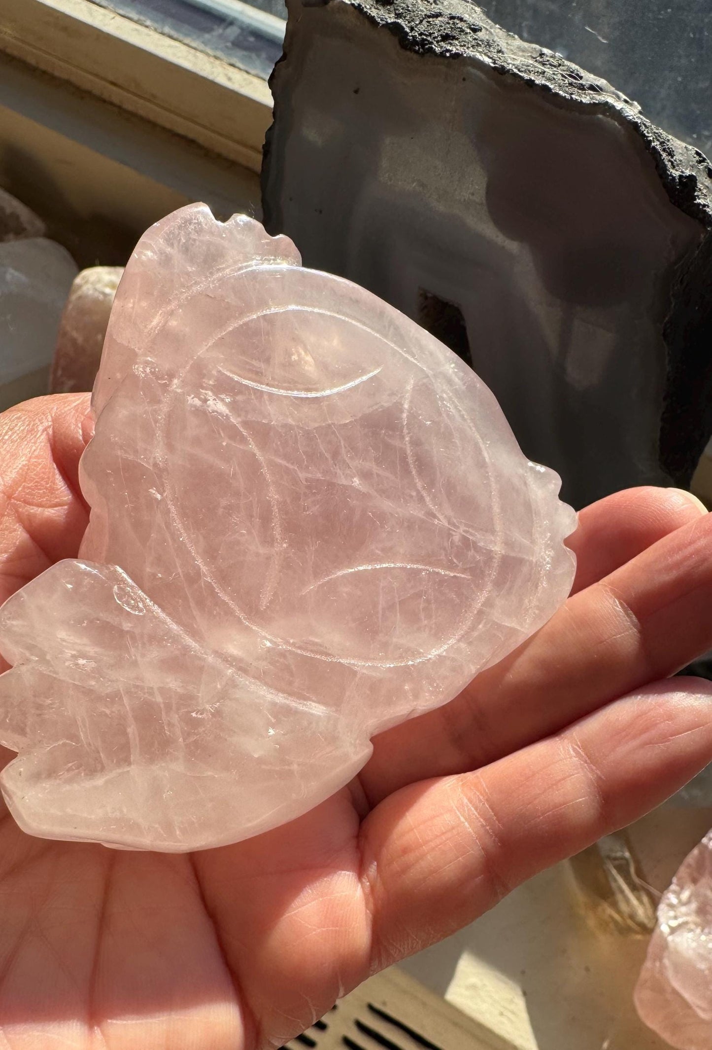 Hand-Carved Rose Quartz Money Toad – Love & Prosperity Symbol
