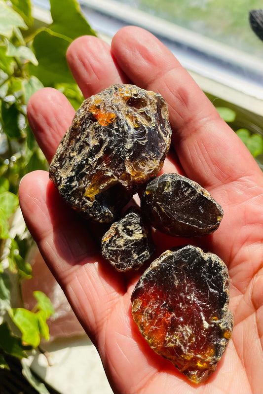Raw Moroccan Amber